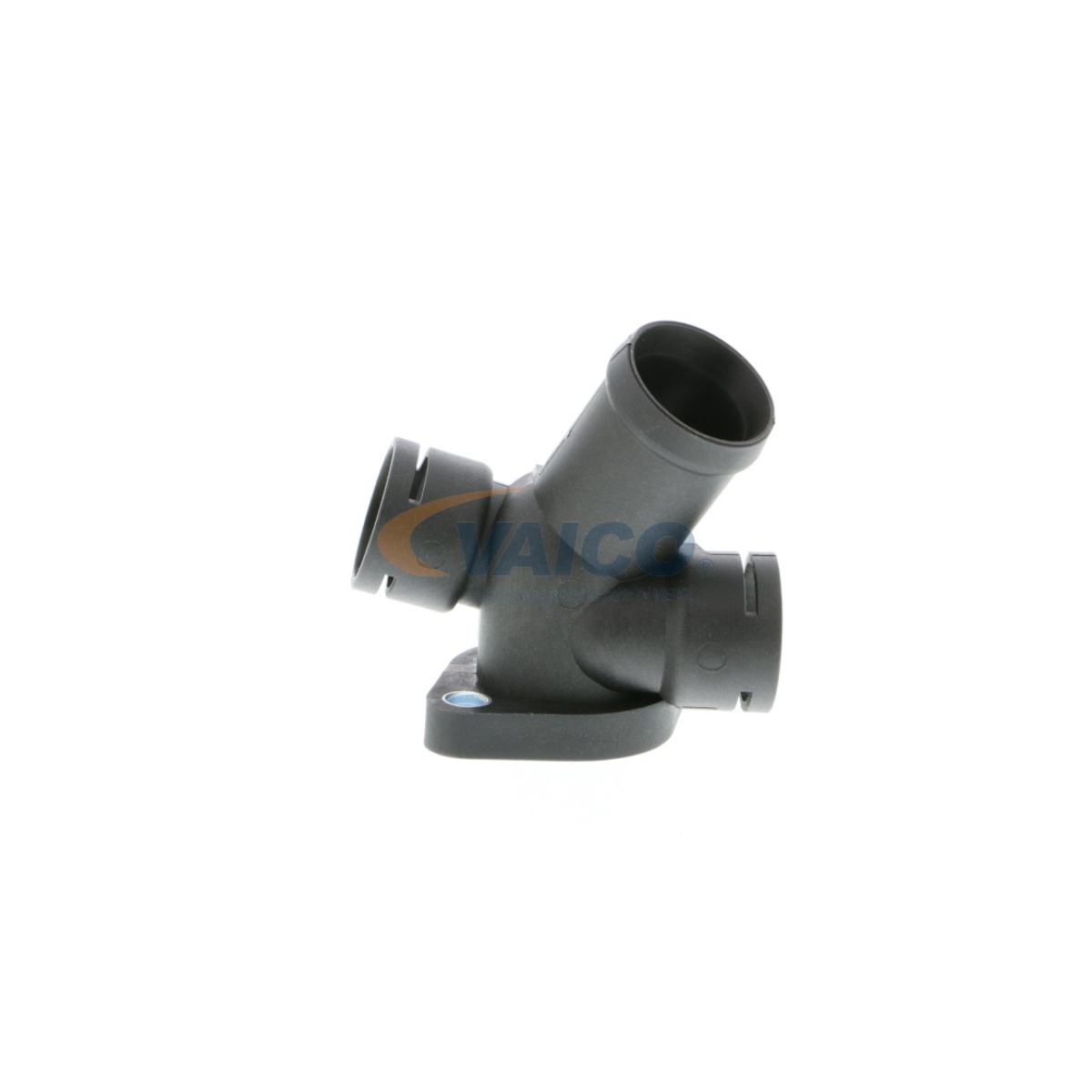 MÜŞÜR YUVASI T4 LT 35